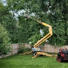 Mulching Services in Port Townsend, WA